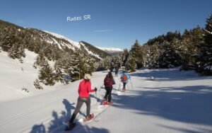Raquetas dee nieve Puerto del Conde